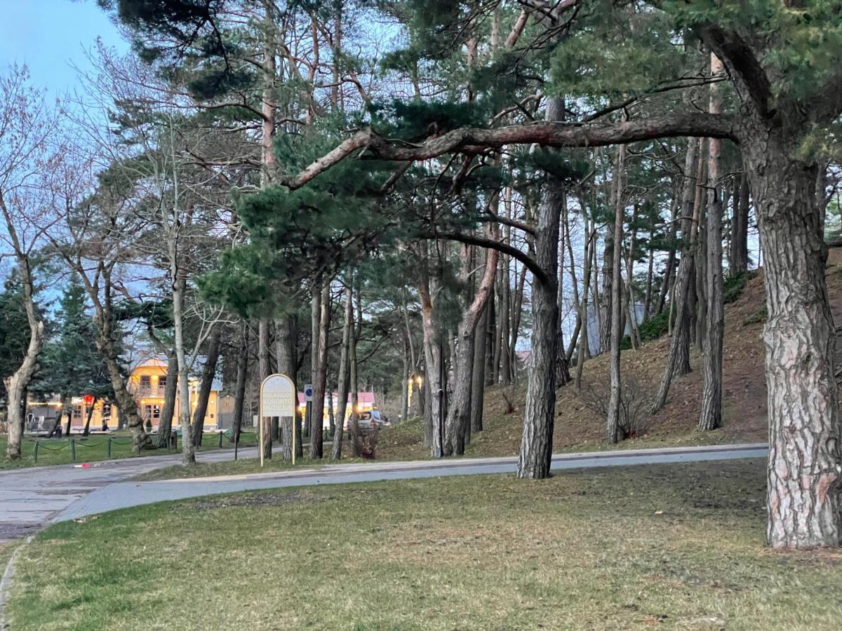 Daukanto Apartmentas Palanga Eksteriør billede