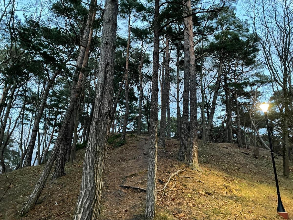 Daukanto Apartmentas Palanga Eksteriør billede